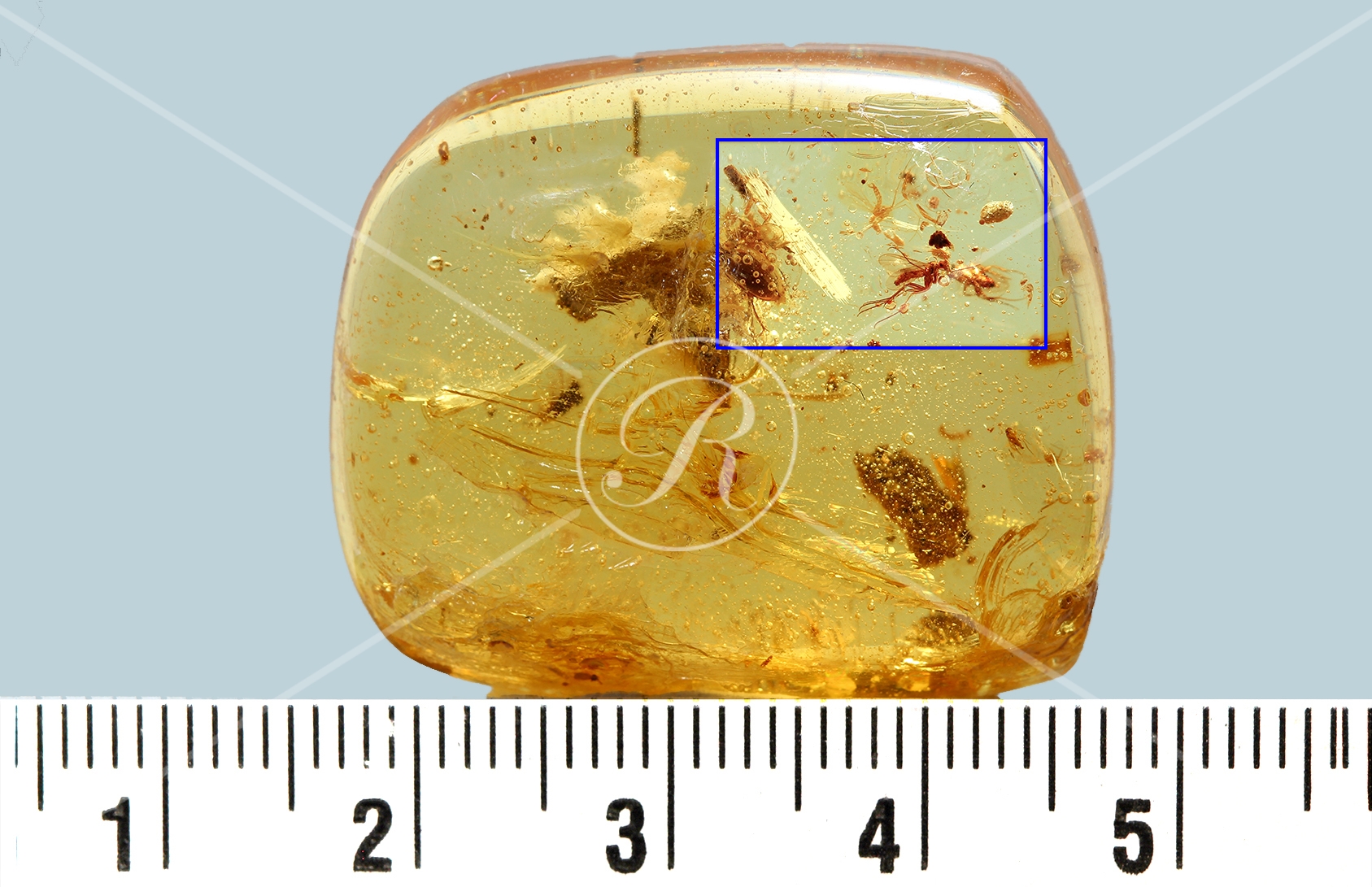 Watermark_190_N1éch .jpg